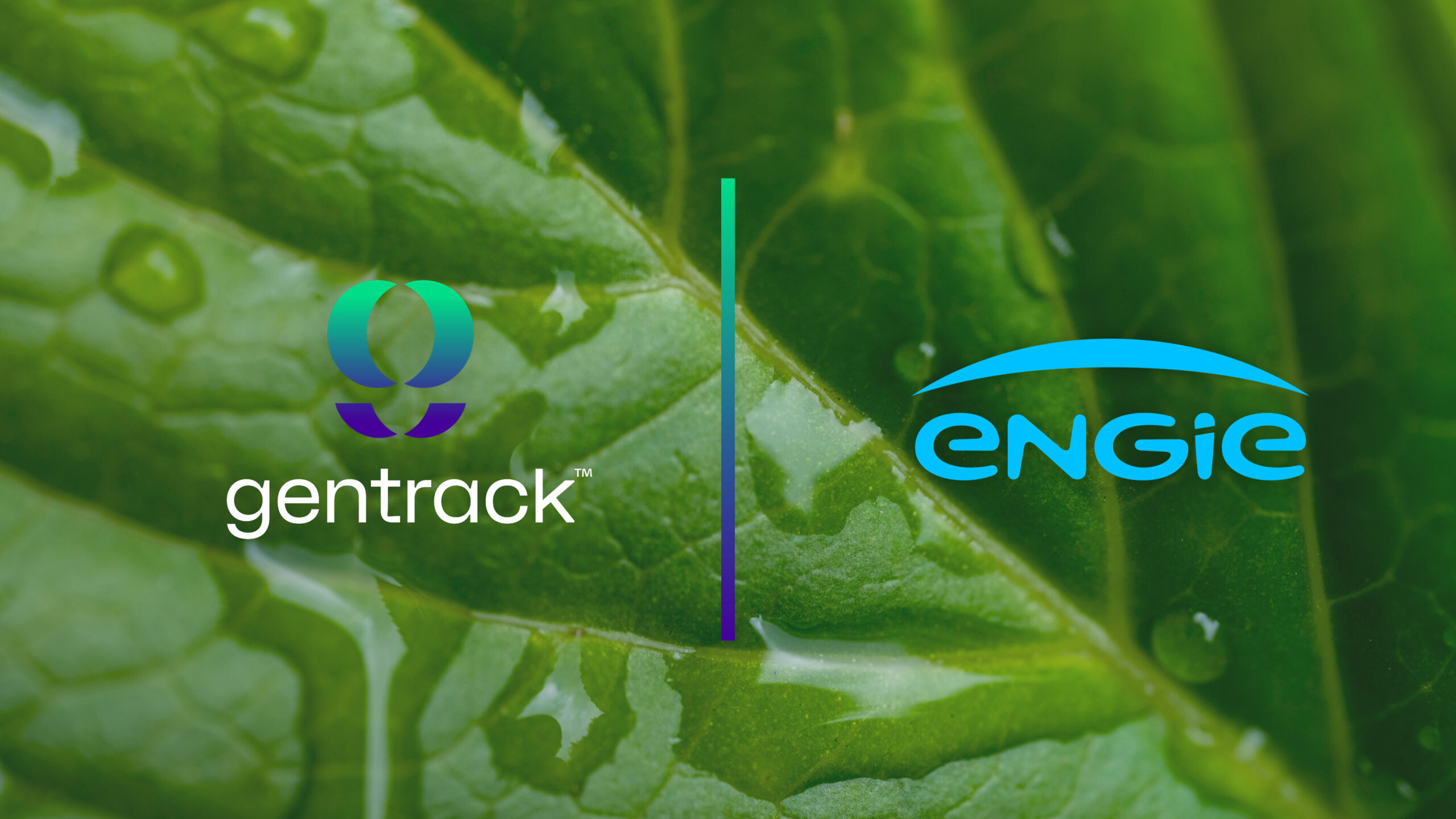 Gentrack ENGIE Migration